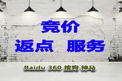 探索SEO在移动端的优化策略——成功案例分享
